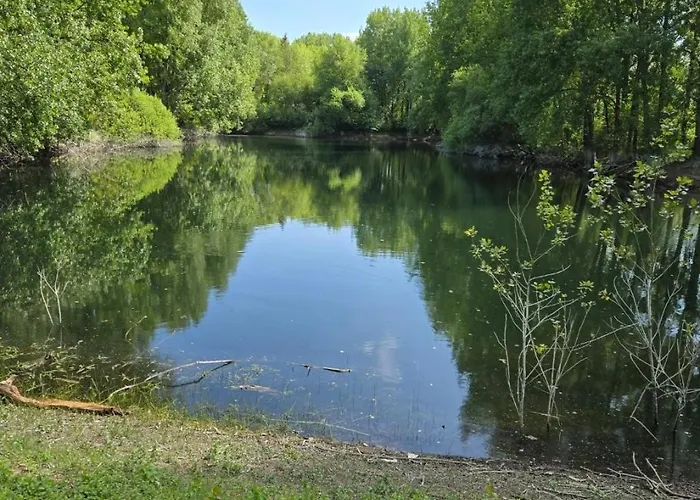 Mobil-home à Dans Un 3 étoiles Camping